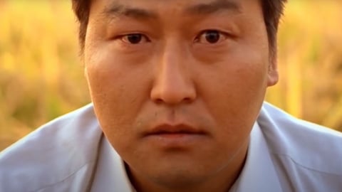 Everything You Need to Know About Close-Up Shots