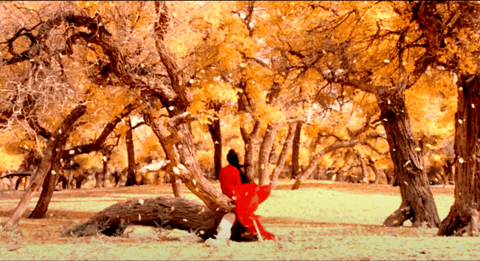 How You Should be Using Color Theory in Your Videos