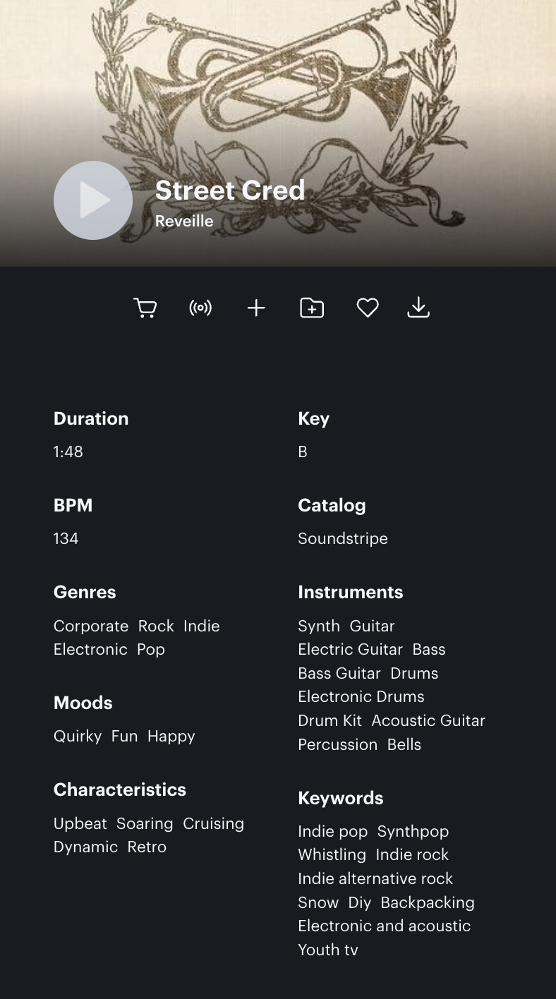 Soundstripe song details in product
